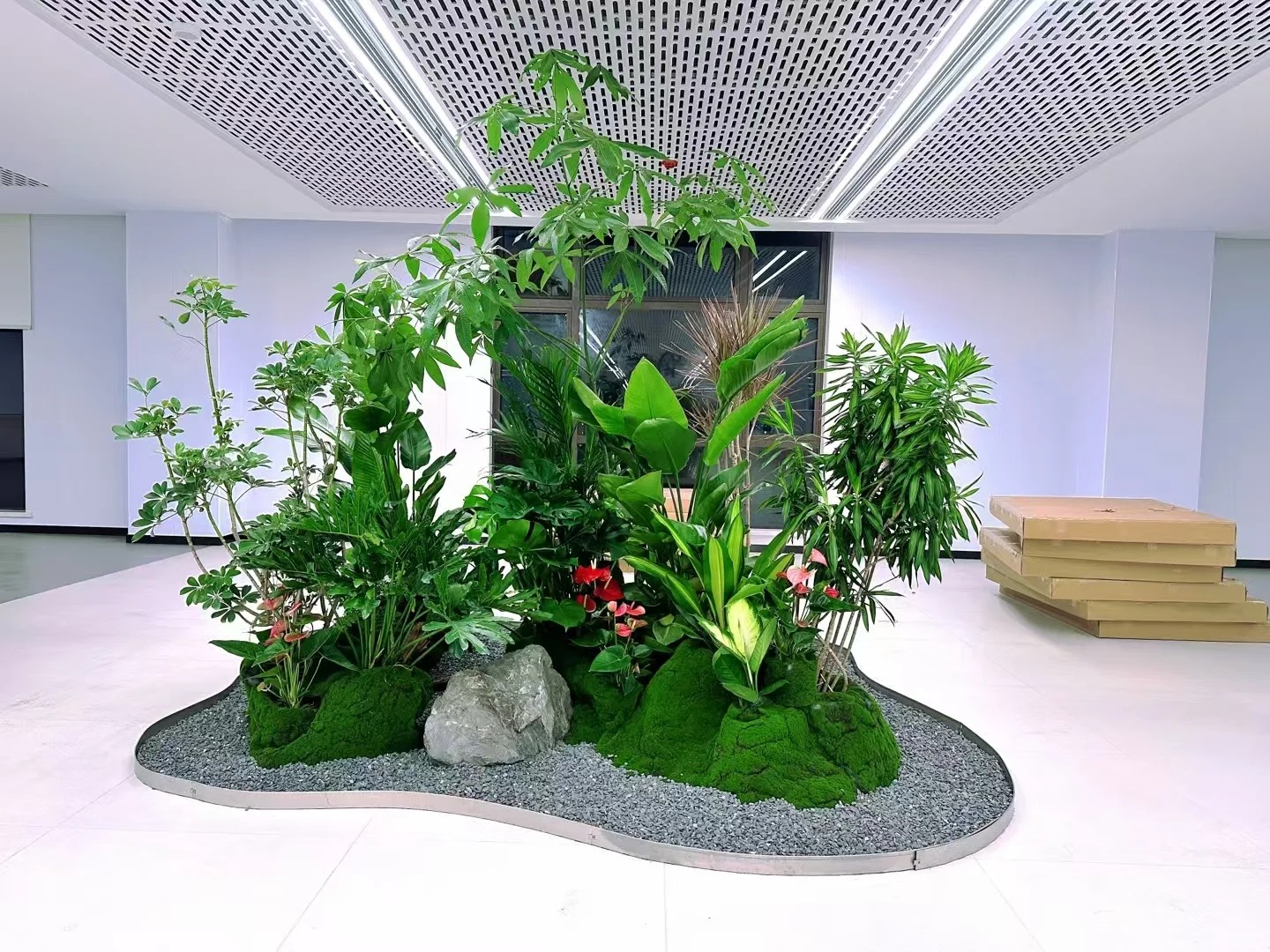 余姚植物出租，服务超贴心，你还不快来体验？